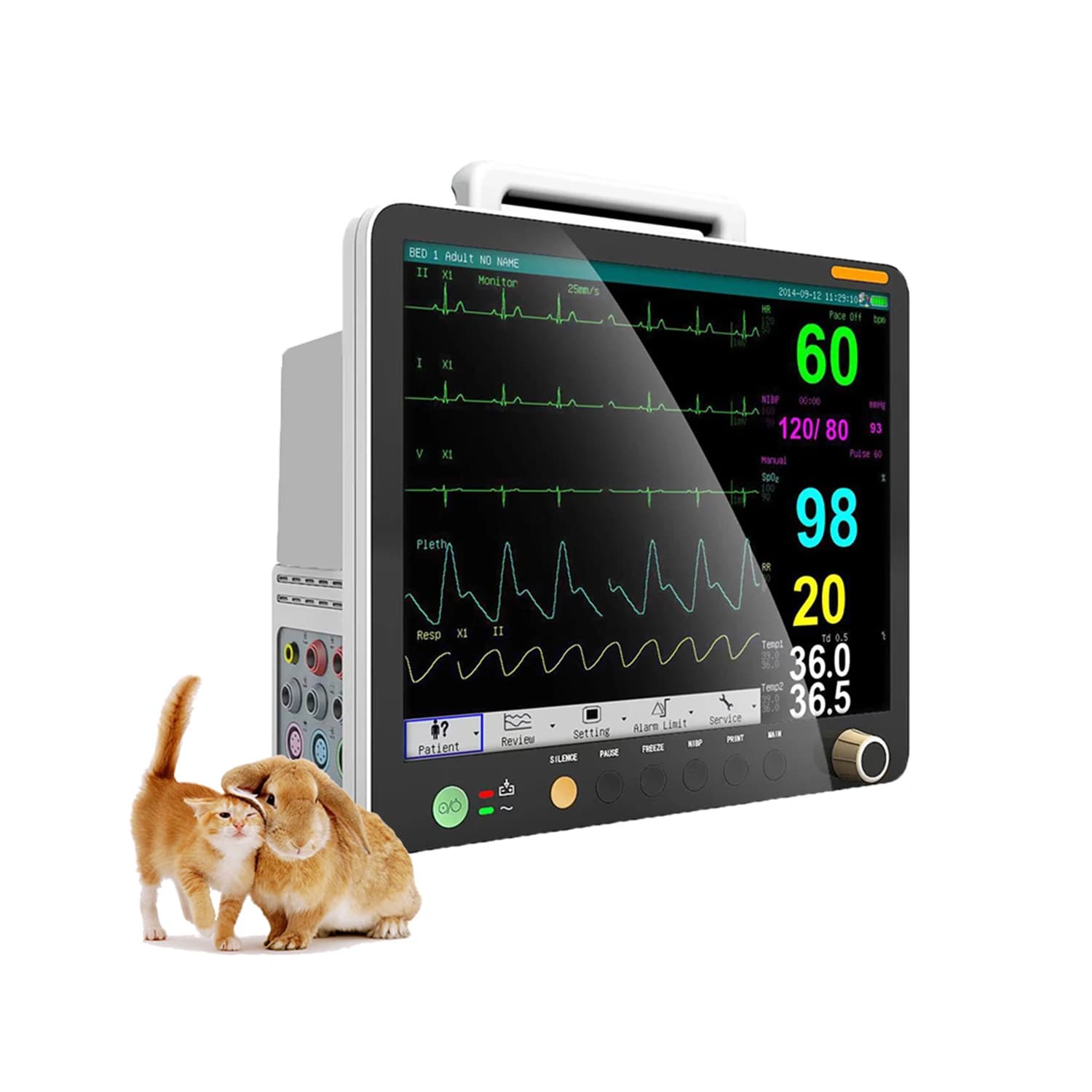 Monitor paziente veterinario portatile Segni vitali Uso veterinario Monitor multiparametrico della pressione sanguigna Veterinario