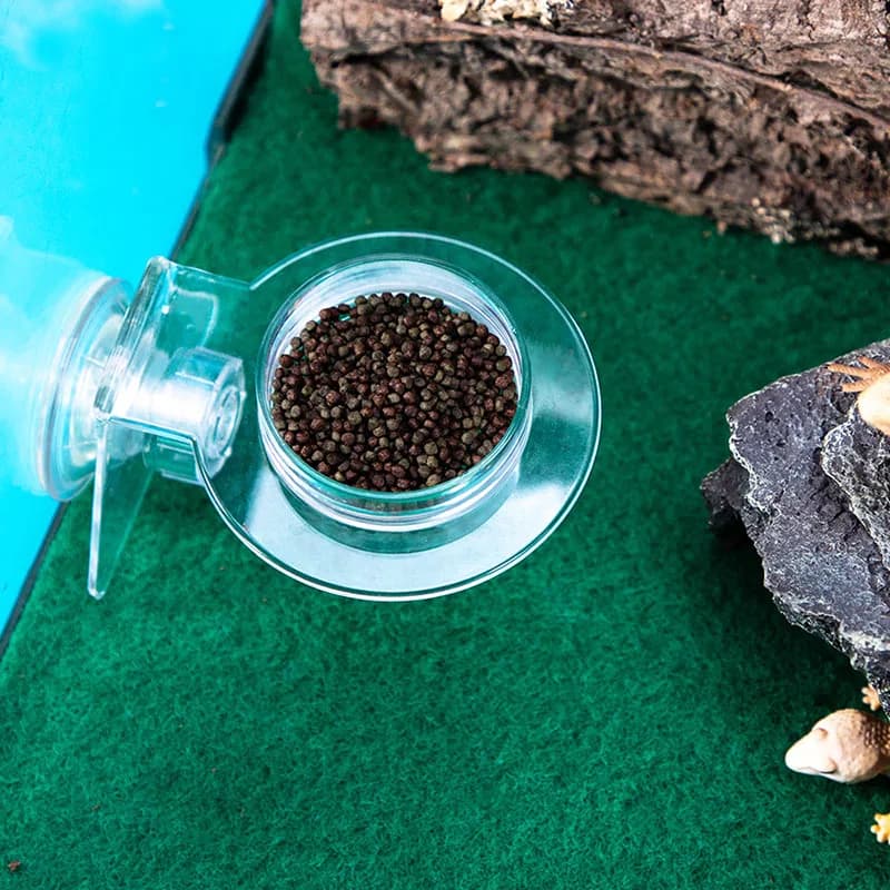 Ciotola per acqua per l'alimentazione degli animali domestici strisciante in acrilico con ventosa Ciotola per cibo per l'alimentazione di tartarughe lucertola scorpione serpente uccello criceti