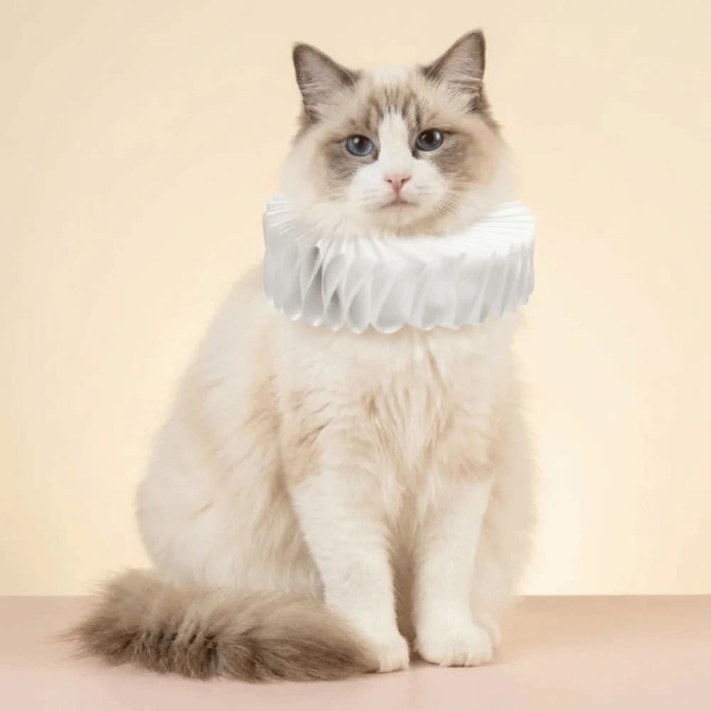 Collare per Animali Domestici Shakespeare con Volant Staccabile, Elegante Collare Vintage per Gatti, Chic Collare con Volant per Cani, Accessorio per Animali