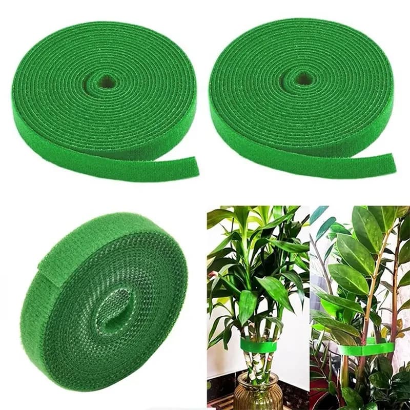 1/2m Cinghia per piante da giardino Fascette in filo di velcro Corda per piante Cinghia per ramo fisso Avvolgimento per foresta Cinghia per ramo Linea di rilegatura Forniture per utensili per piante