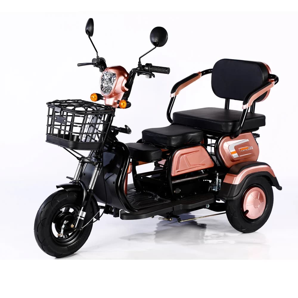 2023 Hot Sale 600W 48V 3 Wheel Electric Bicycle Adult Electric Tricycle Cargo Ebike Without Basket