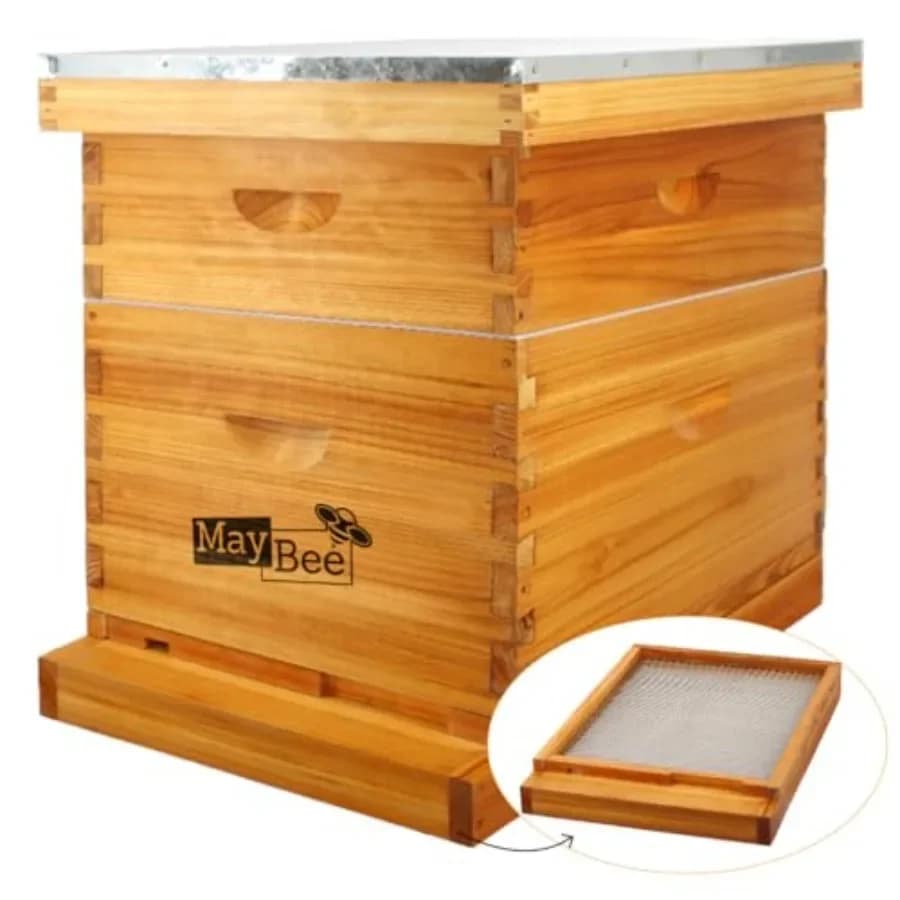 Beekeeping: beeswax-dipped screened bottom board with 8-frame deep medium hive boxes natural beeswax-coated foundations light a