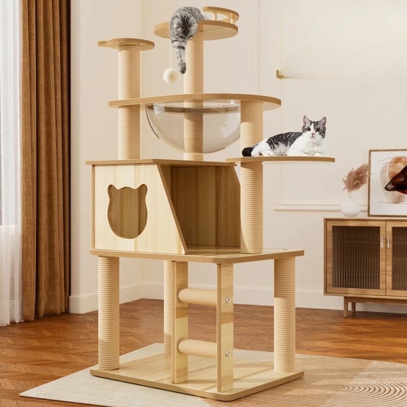 Telaio da arrampicata per gatti, tiragraffi, lettiera, scomparto spaziale per albero per gatti, giocattolo stabile, telaio per gatti che non scuote