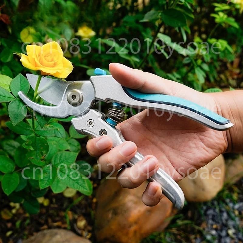 Gardening Gardening Potting Coppers Fruit Trees Rose Snow Climbing Potting Flower Baskets