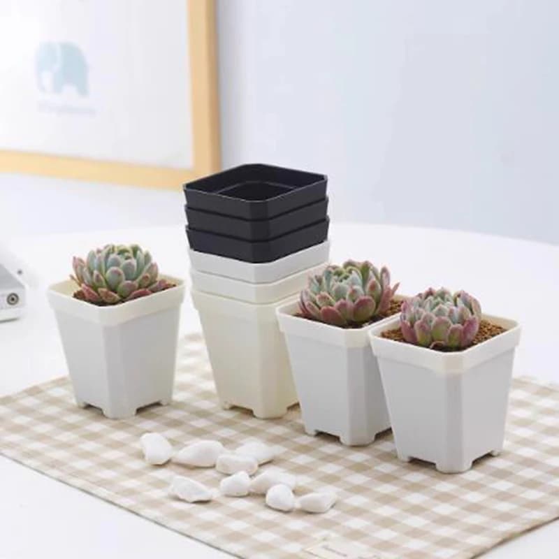 20/40 pieces mini plastic cup square flower pot plant seed vegetable planting planting wholesale