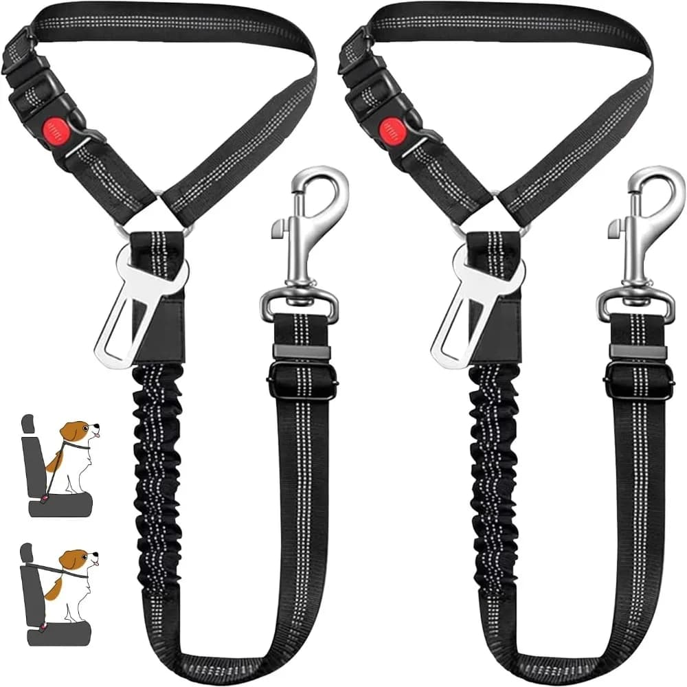 Guinzaglio per imbracatura per auto per cani 2 in1 Cintura di sicurezza per animali domestici regolabile con tampone elastico anti-shock per collare per cani gattini Accessorio per animali domestici