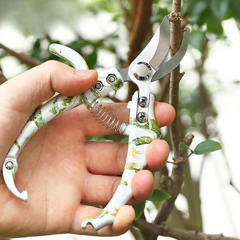 Pruning Shears Labor Saving Garden Cutter For Trimming Branch Flower Picking Fruit Grape And Vegetable Household Tool