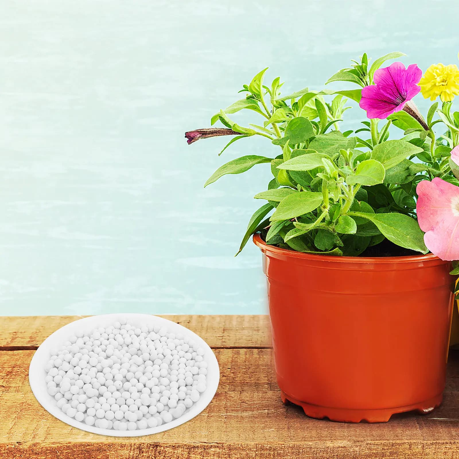2 Bags Hydroponic Flowers Ceramsite Soil Stone Green Environmentally Friendly Air Purifier Pot Surface Decoration for Succulents