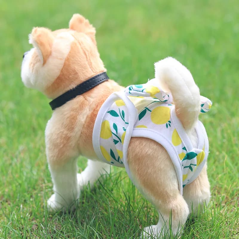 Eco-friendly Dog Physiological Pants, Sanitary Underwear, Menstrual Pants, Female Dog Heat Period Diapers, Pet Period Underwear