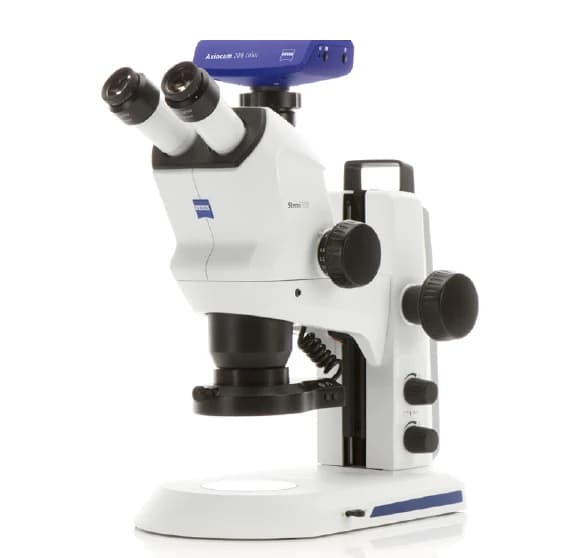 Microscopio Trinoculare Tubo Zeiss Stemi 508