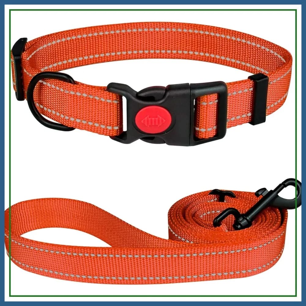 Set Collare e Guinzaglio Riflettente per Cani con Fibbia di Sicurezza, Regolabile in Nylon per Cani Piccoli Medi e Grandi, 3 Taglie (Arancione)