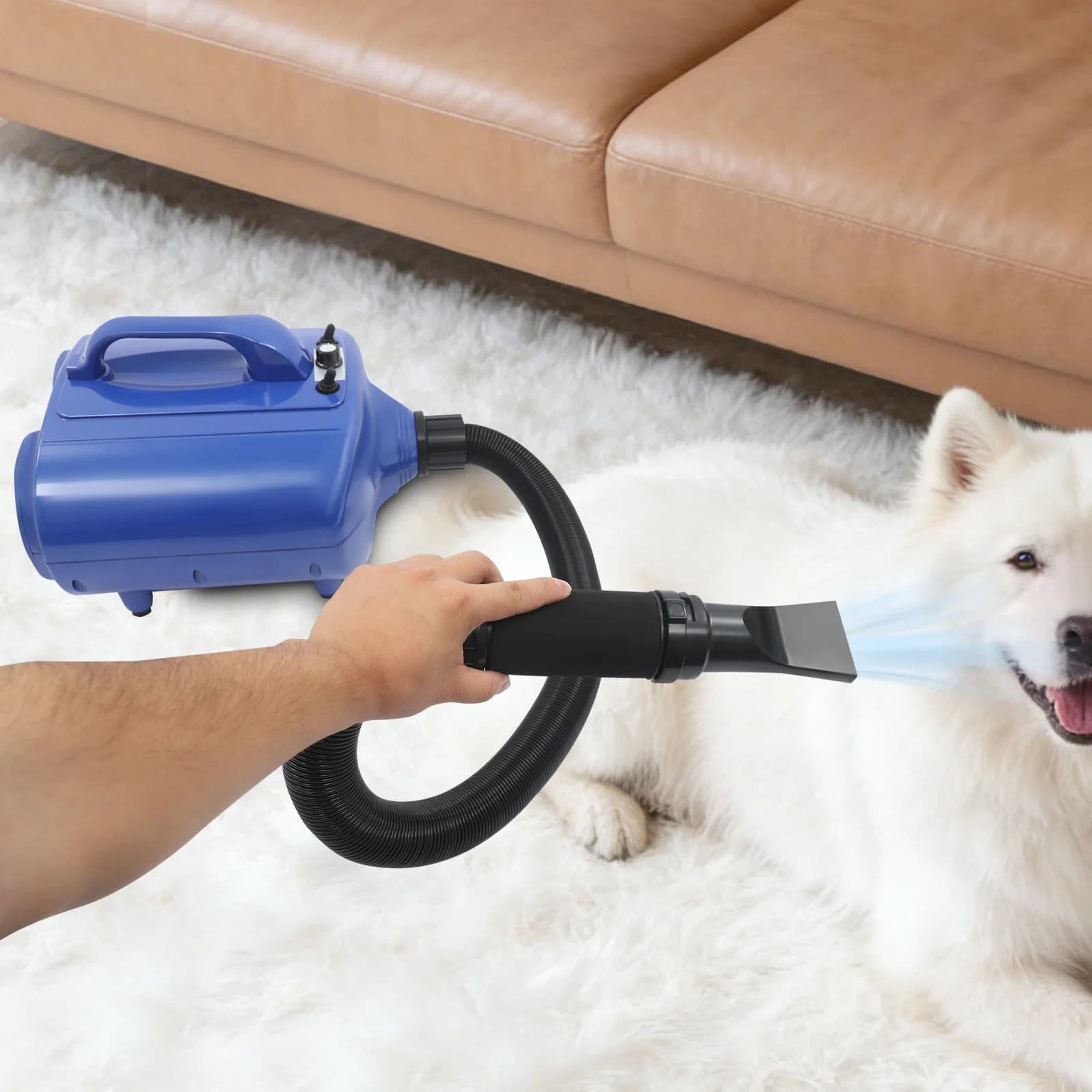 Asciugatore per Animali Domestici ad Alta Potenza 3600W con Doppio Motore 77~149 ℉ Asciugatore per Toelettatura Animali Domestici Warm Wind, Macchina per Asciugatura Pelo Cani 60db