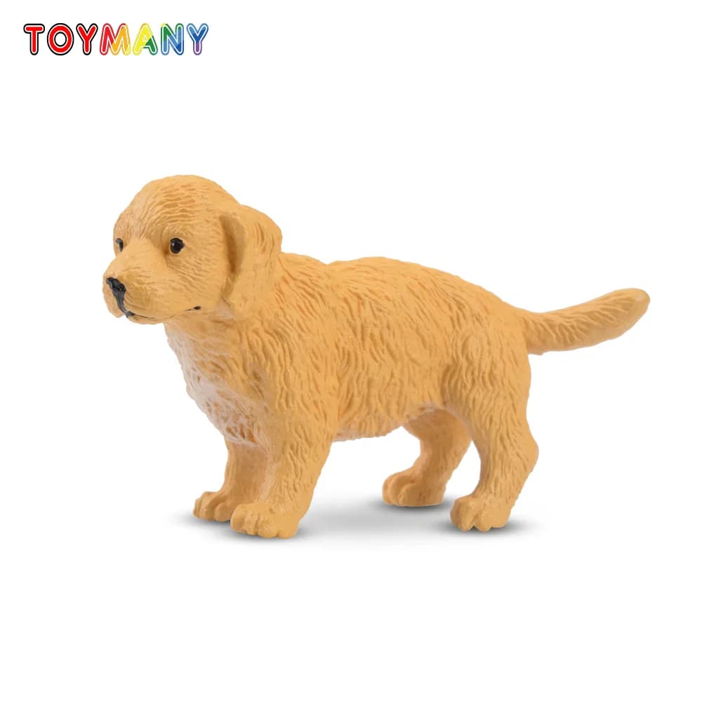 Toymany Modellino di Cucciolo Golden Retriever, Giocattolo Animale Domestico, Mini Figurine, Bambole, Action Figure di Cani, Giocattoli per Bambini