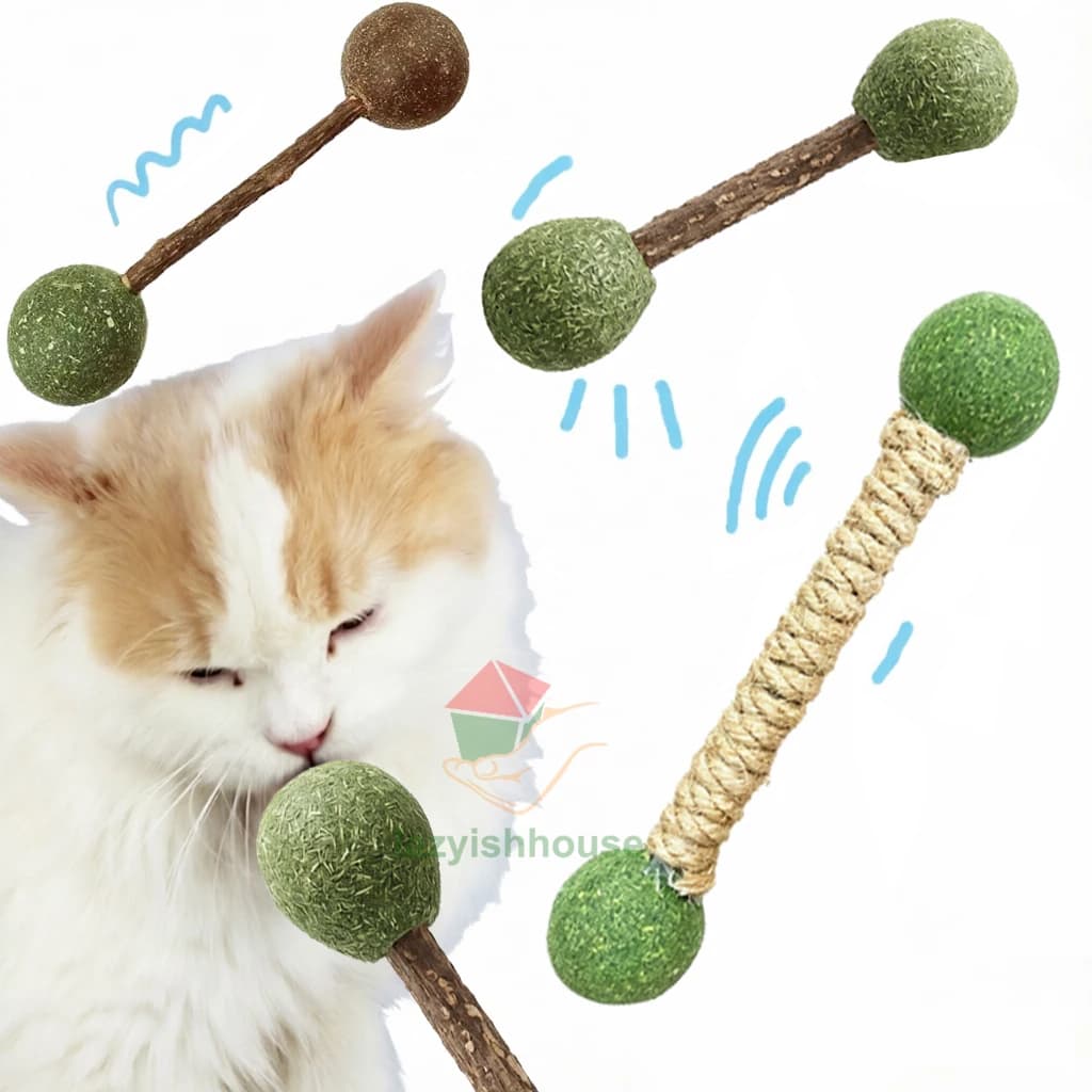 Pure Natural Catnip Cat Molar Teething Stick Cat Clean Teeth Silvervine Matatabi Cat Snack Stick Dental Care Increase Appetite