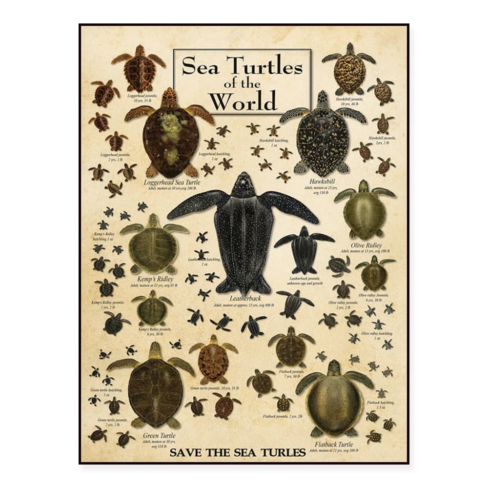 Earth Sky, Water Poster, World Turtle Frameless Poster, Sea Animals Wall Decor, Nursery and Beach Poster, Turtle Gift
