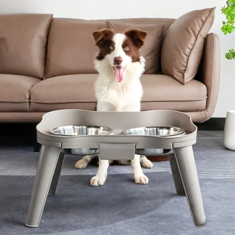 Ciotola per alimenti in acciaio inossidabile per animali domestici con staffa Gatti Cani Bacini per mangiare all'aperto per interni Mangiatoie per animali domestici Forniture Accessori Facile da pulire