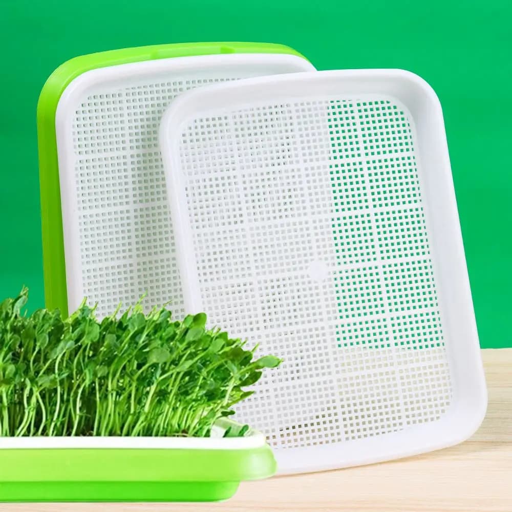 Hydroponic tray for Semina and Germination, for Exterior and Interior, Pot for Plants and Germs