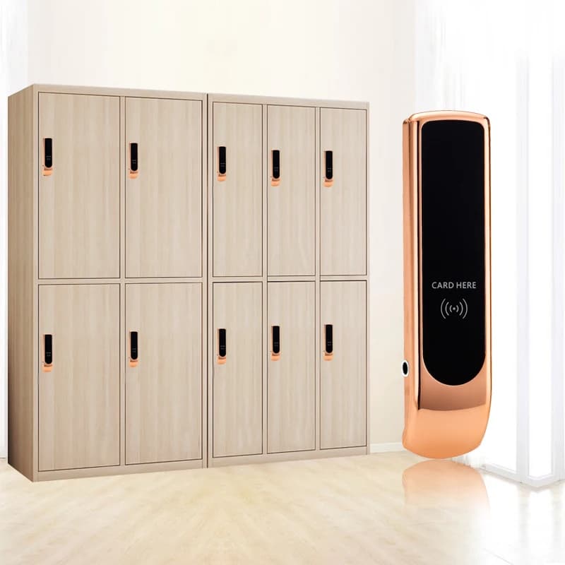 Produttore di alta sicurezza senza chiave in metallo RFID Card Cabinet Key Locker Lock Sensore di blocco elettrico intelligente per palestra Spa Nuoto