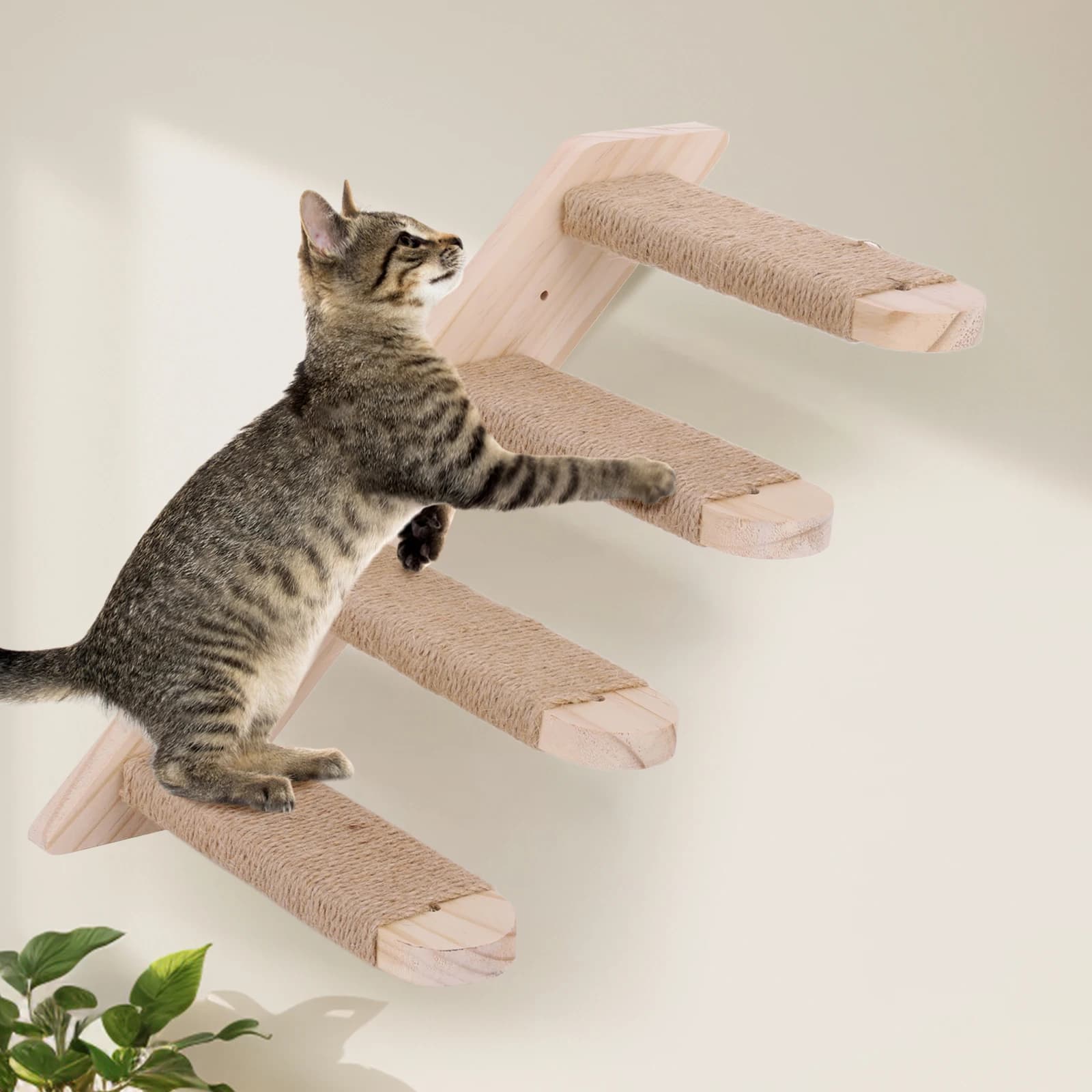 Scaffali e Gradini da Parete per Gatti, Scaffali e Posti di Sosta a Muro per Gatti, Scala per Gatti a Quattro Gradini, Struttura per Arrampicata per Gatti