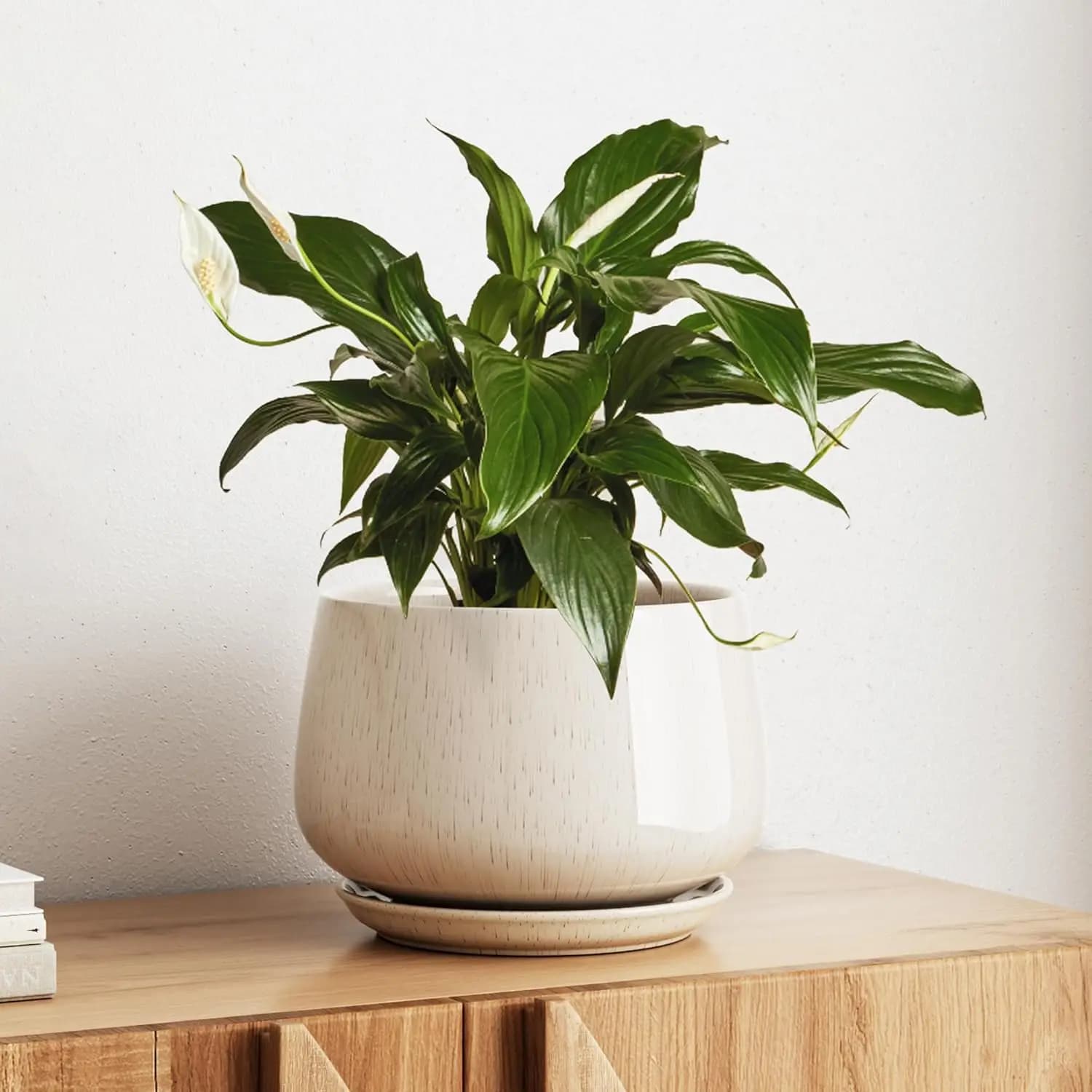 10 Inch Ceramic Plant Vase with Drainage and Underwater Hole, Planter Resistant to Modern Furniture in Beige