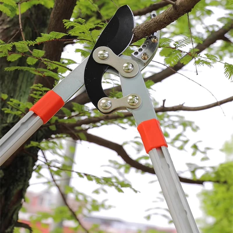 Manual pruning shears Telehandling shears Shelfing tool for high branches Long-range aluminum handle Potator Garden tools
