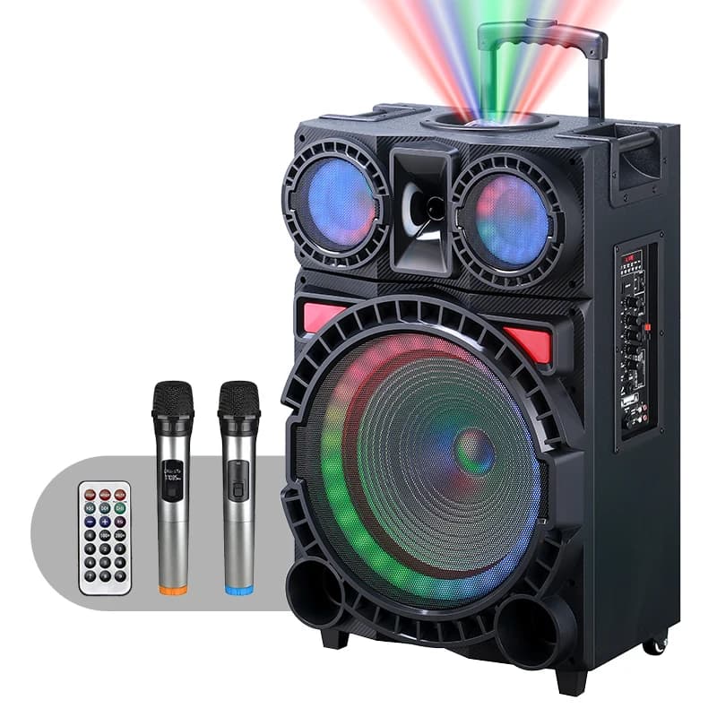 Il sistema di altoparlanti dell'attrezzatura per canto portatile della macchina per karaoke Bluetooth supporta la scheda SD USB AUX MP3 FM