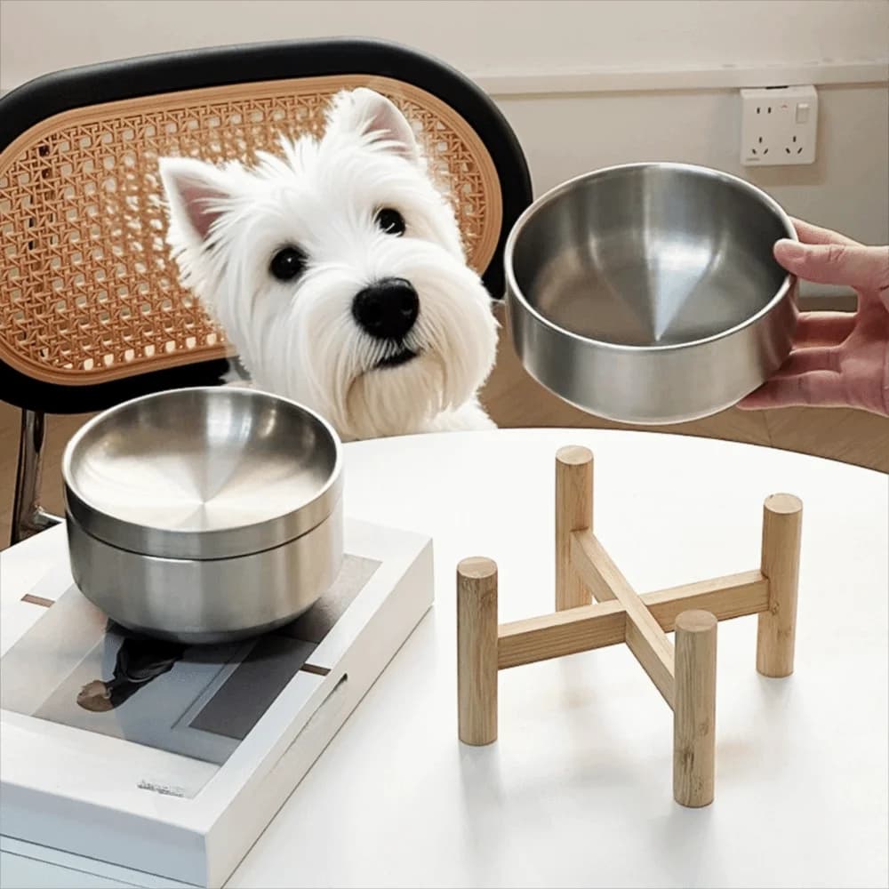 Ciotola per Cani in Acciaio Inox con Supporto in Legno, Antiruggine, Rialzata, Inclinabile, Rinforzata per Cuccioli, Cani e Gatti