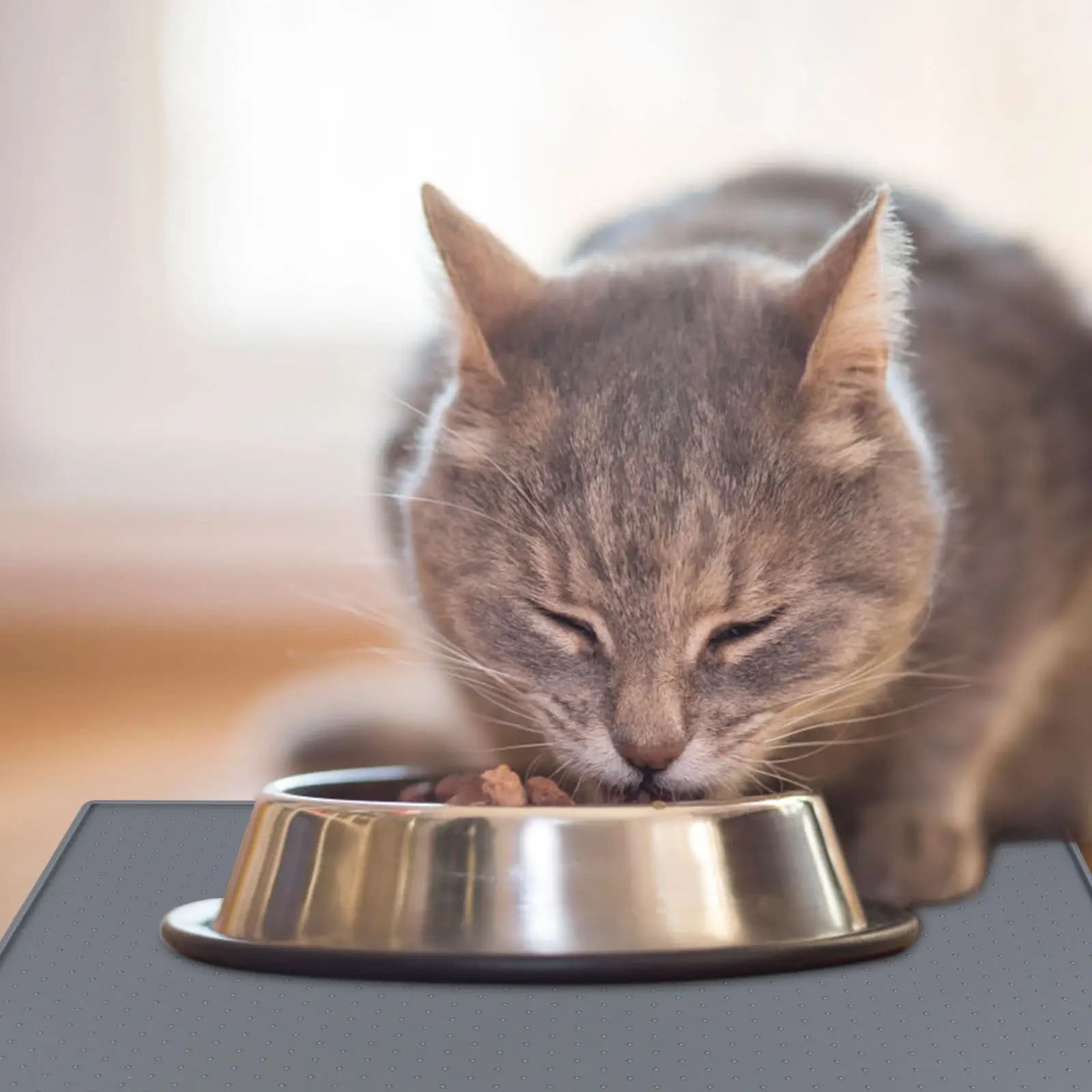 Tappetino Antiscivolo in Silicone per Ciotole di Animali Domestici, Impermeabile, Ecologico e Pratico per Cani e Gatti