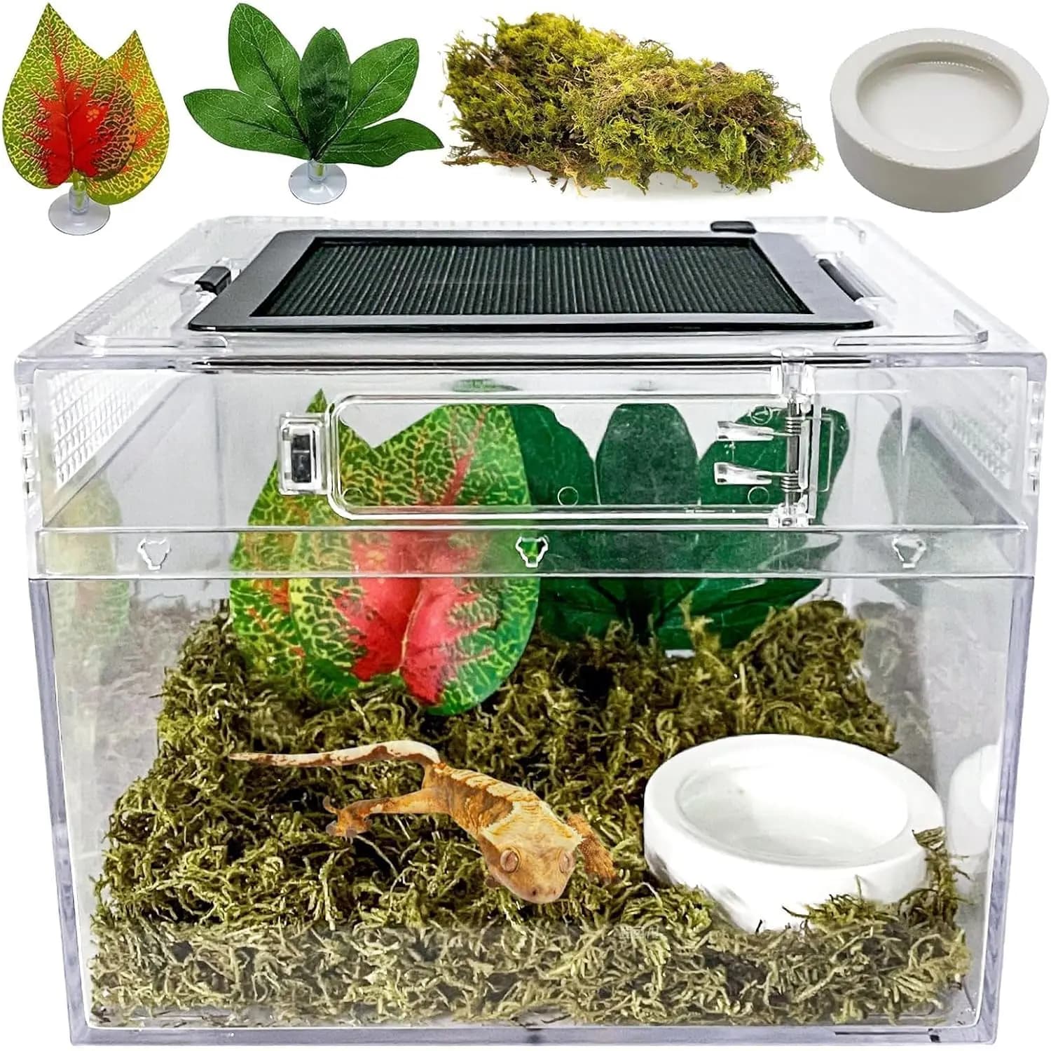 Terrario per rettili, kit di avviamento per recinzione per ragno saltante, contenitore per habitat geco leopardato, serbatoio per rettili da 8"x8"x6" per tarantula, He