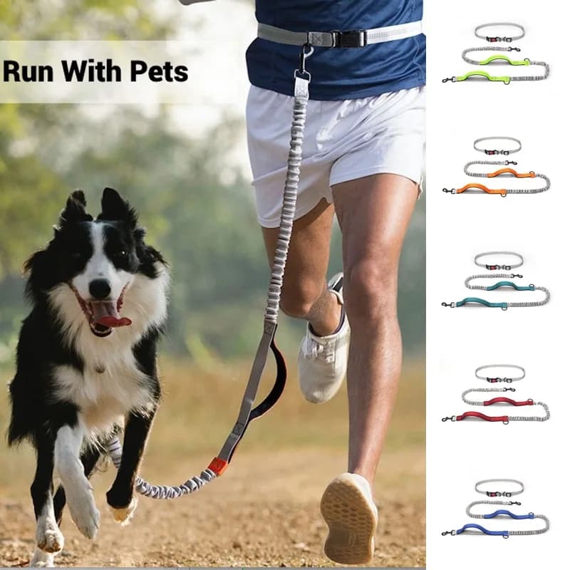 Guinzaglio per cani elastico riflettente per la corsa Guinzaglio per animali domestici con doppia impugnatura regolabile a mani libere Ammortizzante e adatto ai viaggi