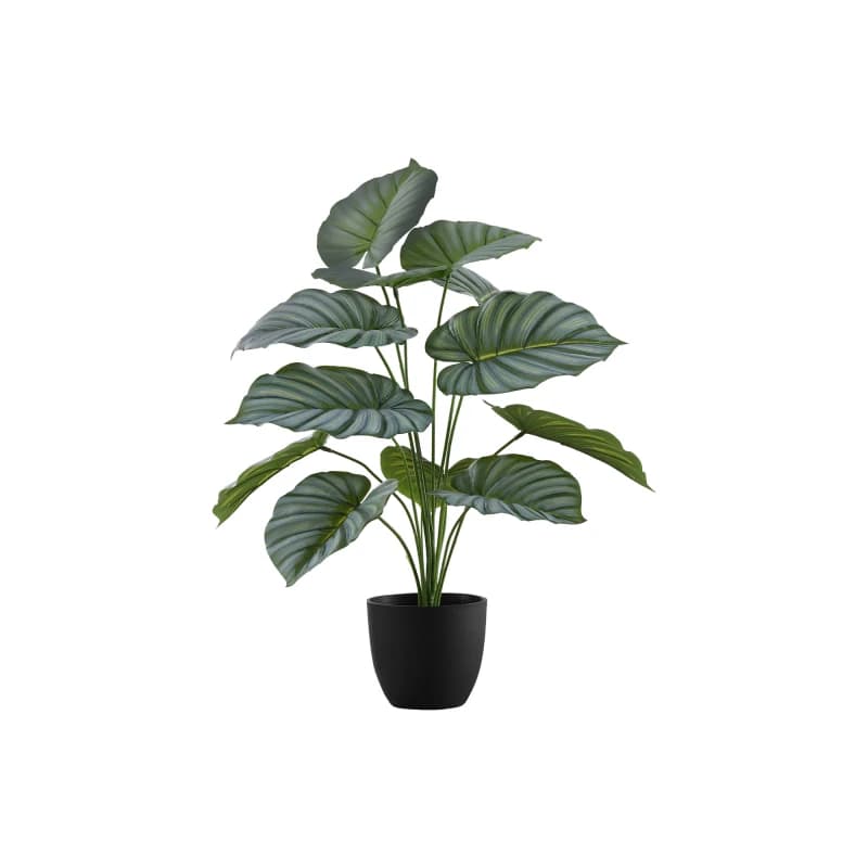 Artificial Plant, 24" Tall, Calathea, Indoor, Faux, Fake, Table, Greenery, Potted, Real Touch, Decorative, Green Leaves, Black Pot