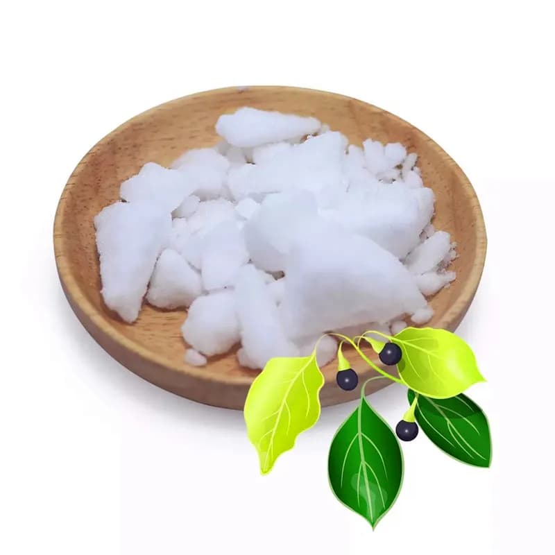 Medicina cinese tradizionale in polvere di canfora naturale utilizzata per antimuffa, a prova di falena, a prova di insetti e gusto