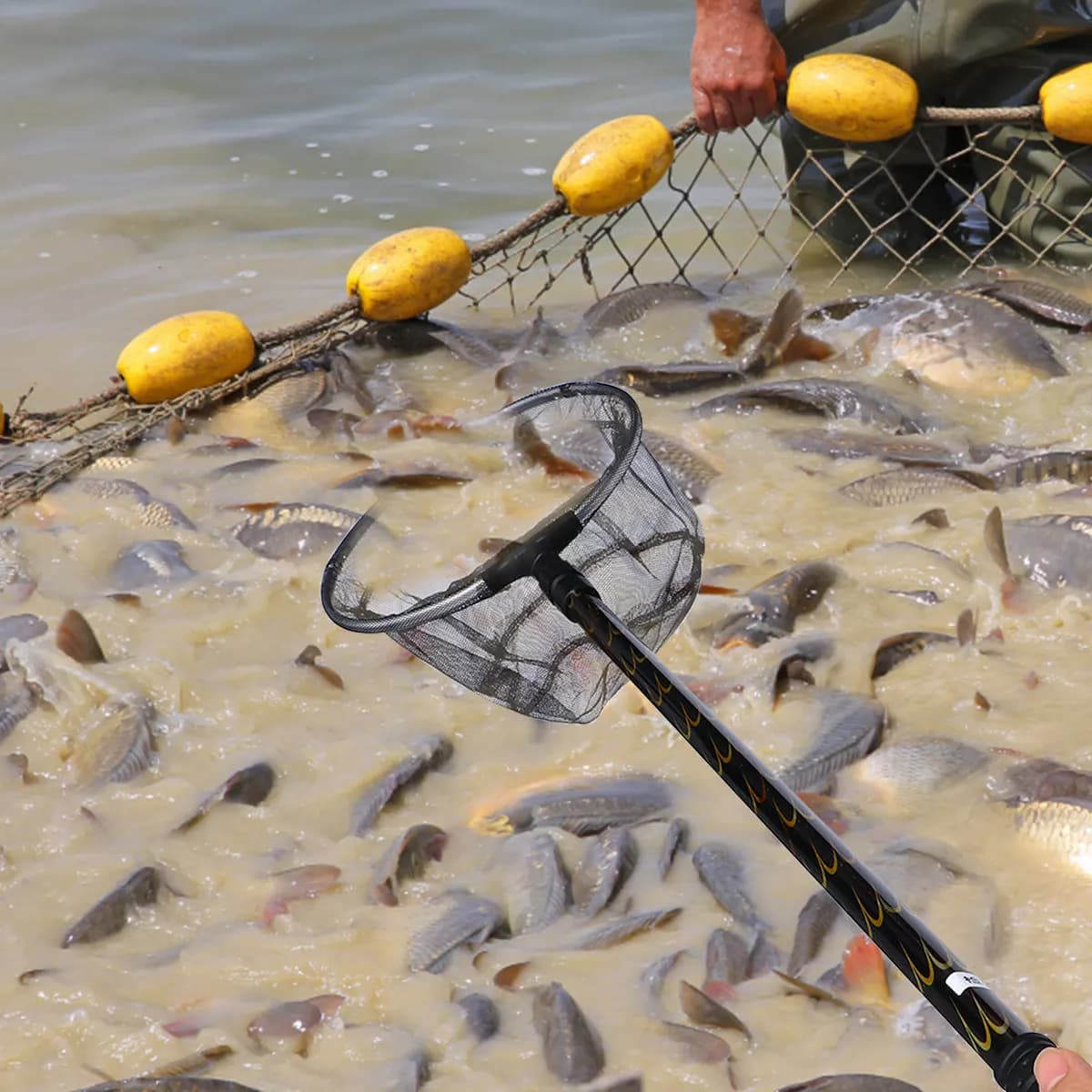 1 set di reti da pesca leggere in lega di alluminio con asta telescopica da 1,7 m, perfette per il recupero di pesci, la pulizia di stagni o piscine.