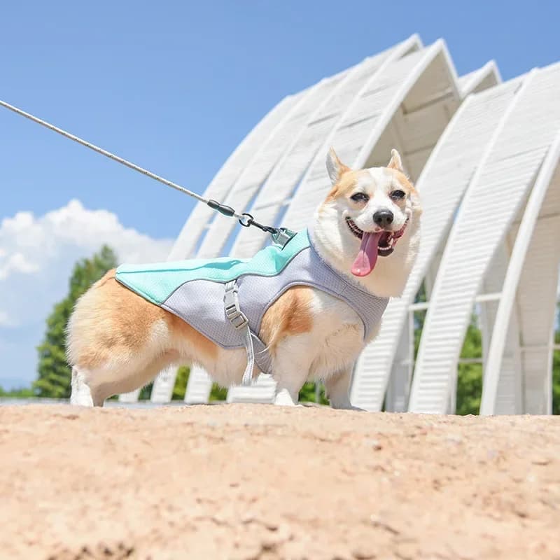Gilet rinfrescante estivo per cani - Abbigliamento termoresistente per animali domestici