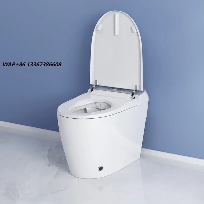 Luxury Modern Style Fully Automatic Operation Electric Bidet Siphonic Flush Intelligent Smart Wc Toilet