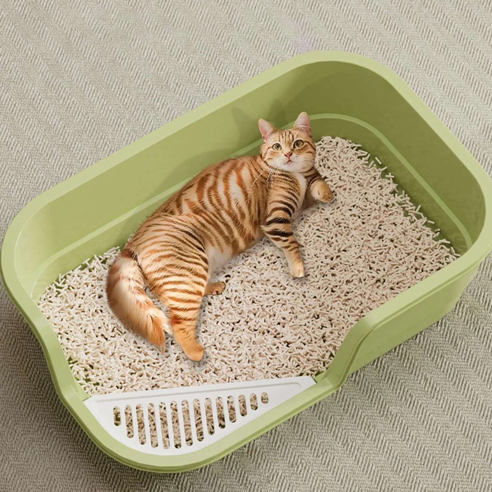 Lettiera per Gatti Semi-Chiusa Anti-Schizzi con Paletta, Vassoio Igienico per Animali Domestici, Accessori per la Pulizia degli Animali