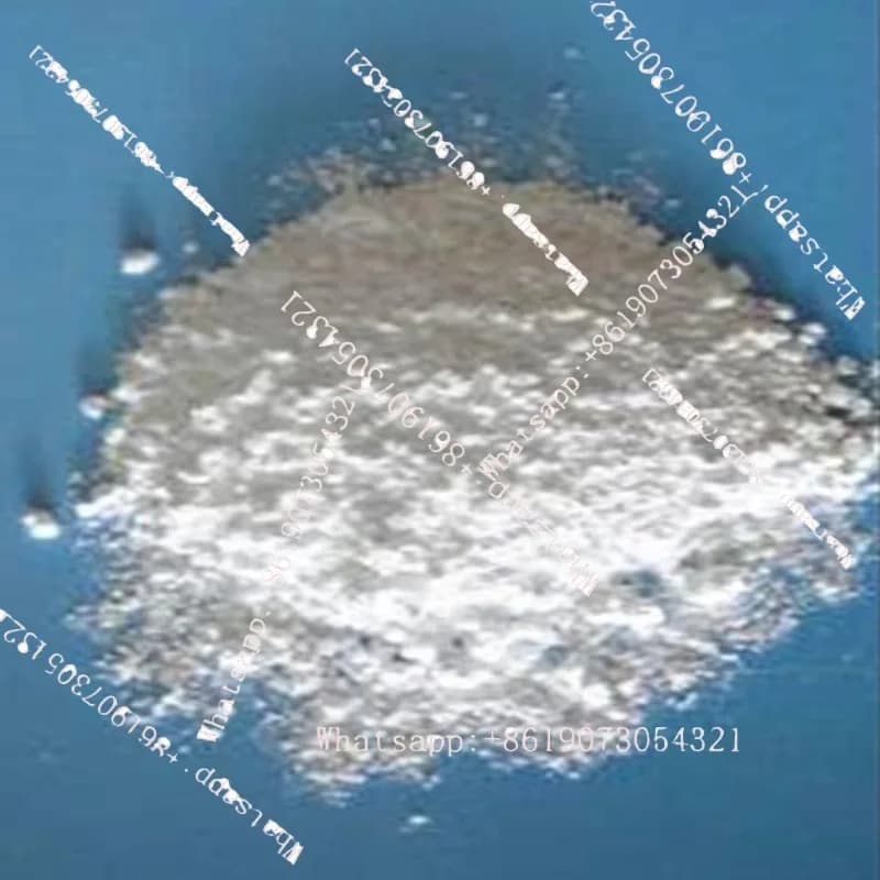 Polvere per Diffusione della Luce, Polvere Omogeneizzante, Omogeneizzatore