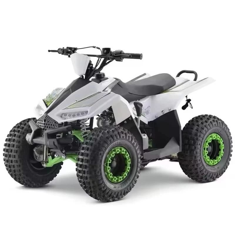 SXLL Vendita Calda 125cc 4 Ruote Mini ATV Alimentato a Olio e Gas Automatico a Catena 4x4 Dune Passeggino ATV