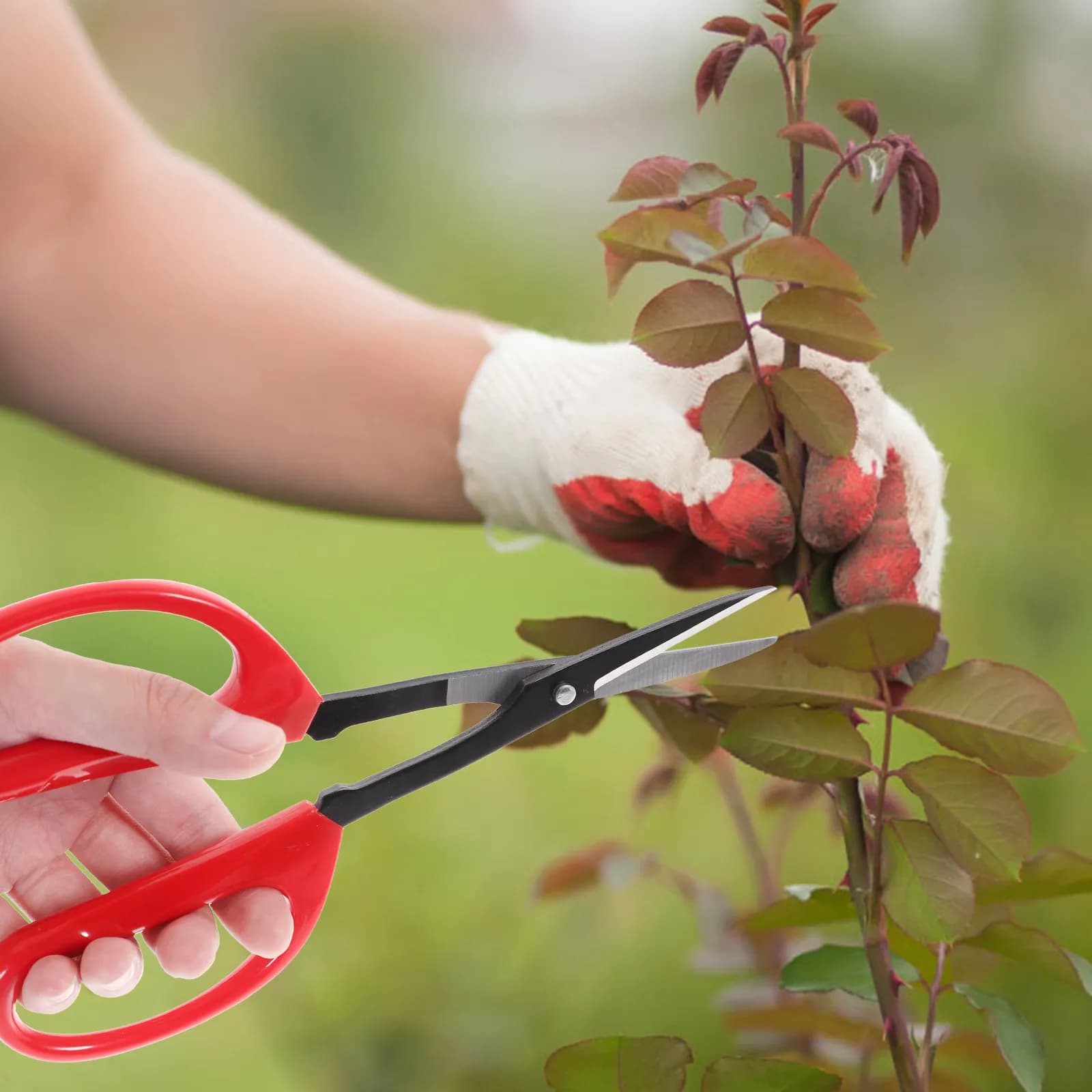 Forbici Professionali per Fiori con Impugnatura Ergonomica Antiscivolo, Attrezzo da Giardinaggio per Potatura e Taglio Rami