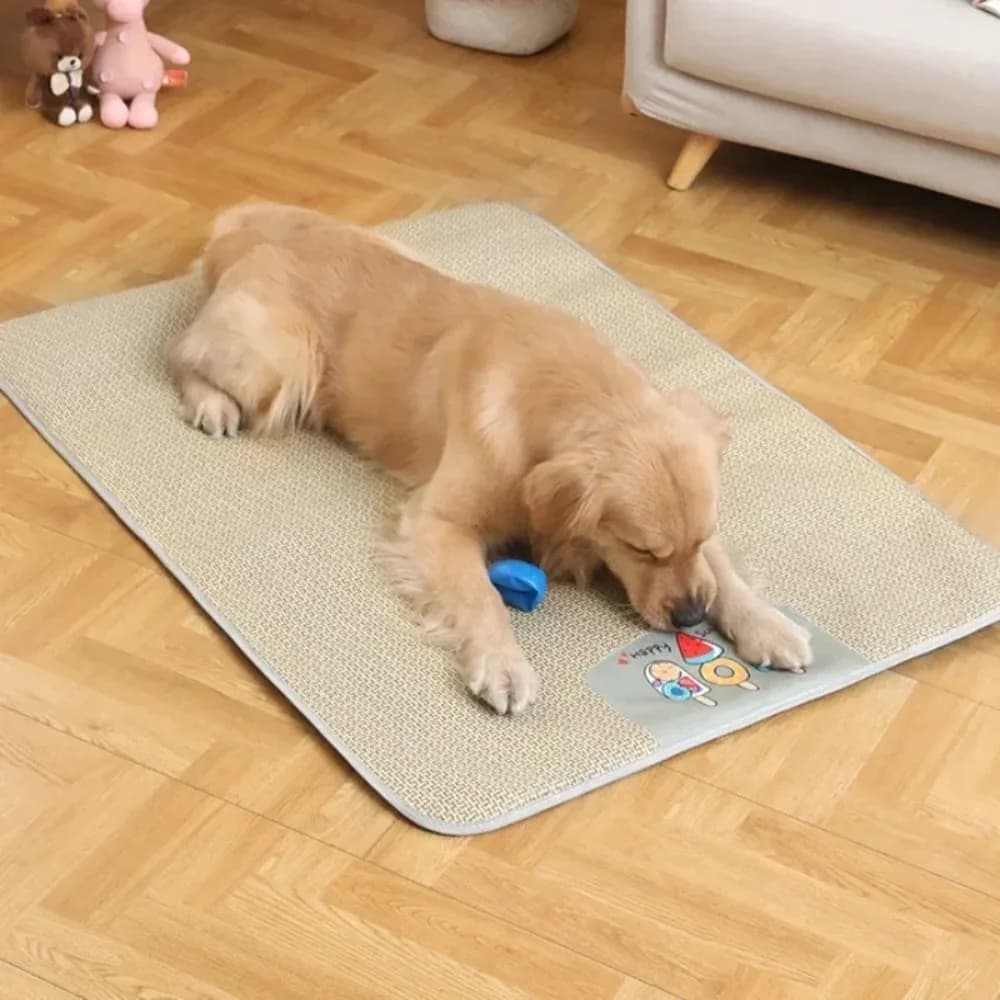 Anti-Slip Anti-Slip Anti-Slip Anti-Morso Breathable Rattan Breathable Mat for Dogs and Cats, Bearing for Sleeping, Dog Accessories 1 Piece
