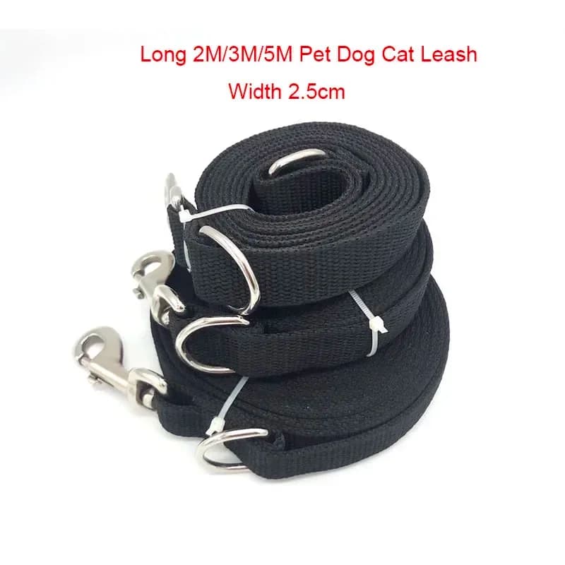 Lungo 2m/3m/5m Nylon Pet Cat Dog guinzaglio imbracatura cane Walking Training guinzaglio gatti cane imbracatura collare guinzaglio cinghia larghezza 2.5cm