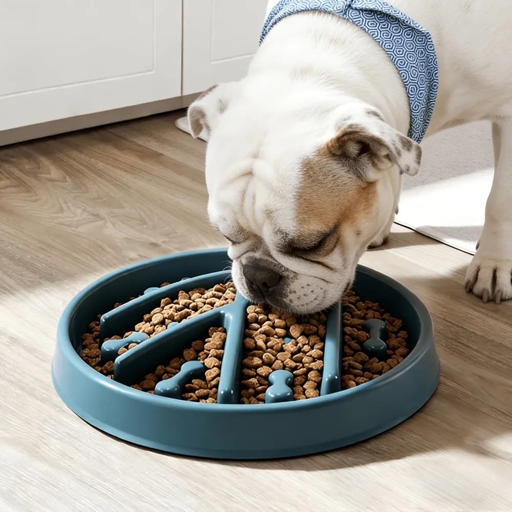 Slow Feeder Dog Bowl Anti-Choking Non-Slip Anti-Tip Pet Feeding Bowl Maze Bone Design Food Grade Dog Food Bowl for Small Medium