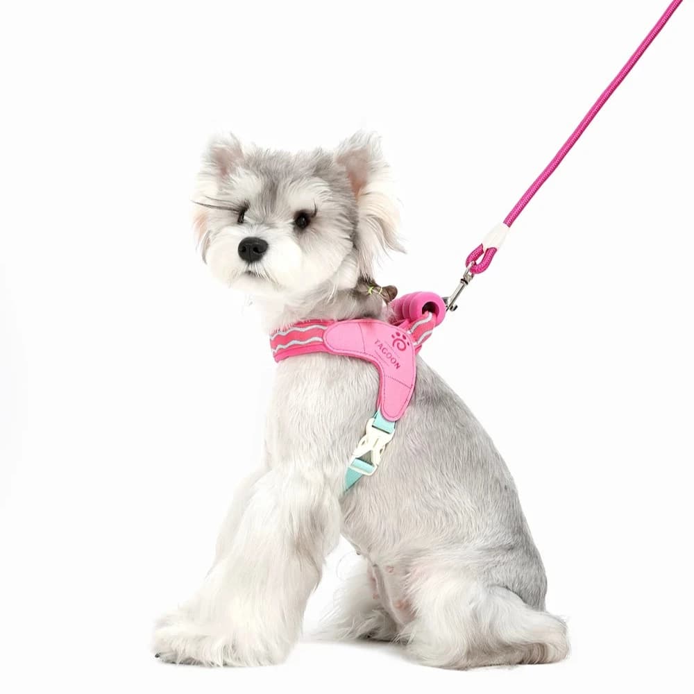 Breathable Saddle Dog Harness & Leash Set for Small Medium Dogs, Pet Walking Vest with Handle for Poodles