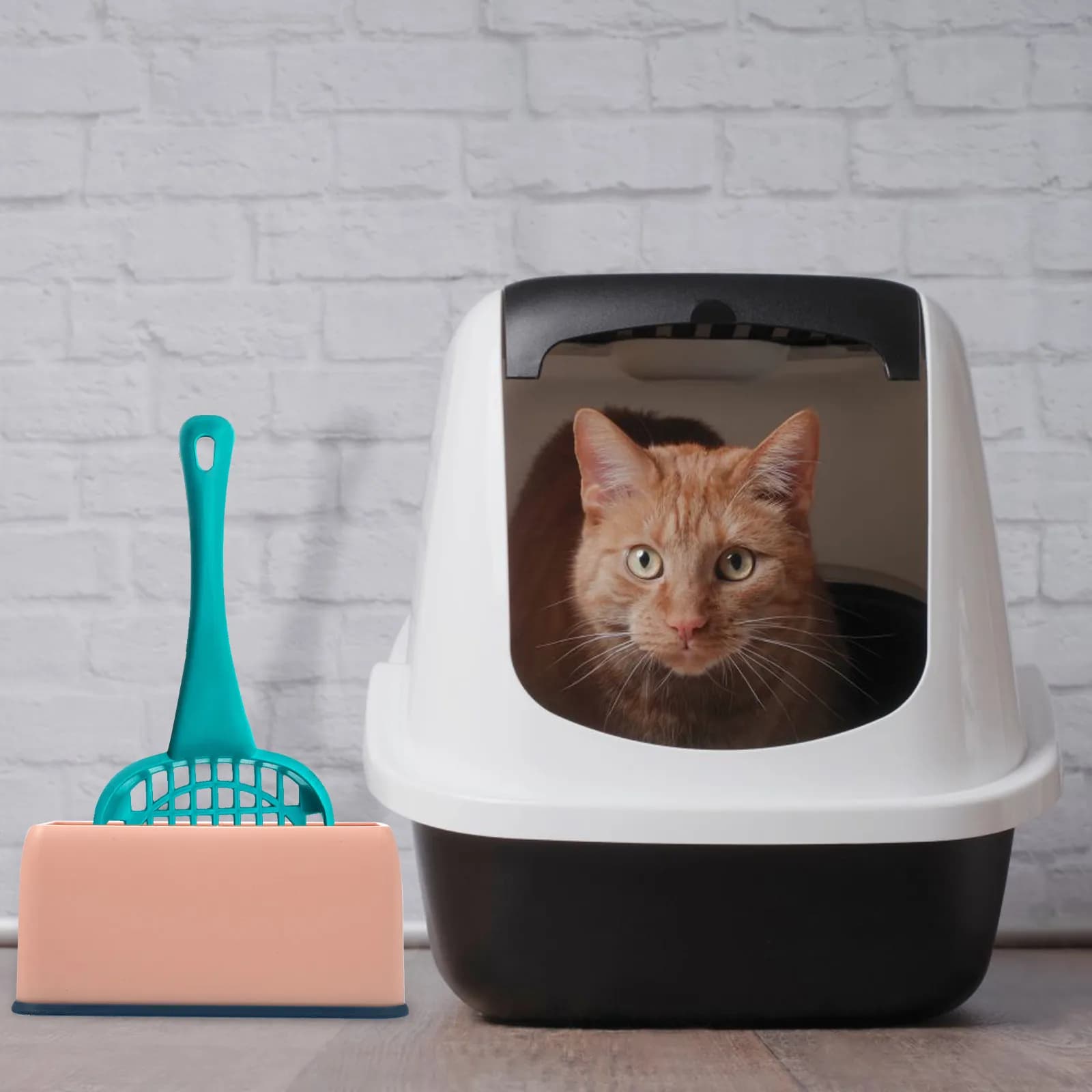 2 Pezzi Supporto per Paletta Lettiera Resistente all'Usura, in Plastica Robusta, Pratico Contenitore per Paletta, Facile da Pulire, per la Casa e gli Animali Domestici