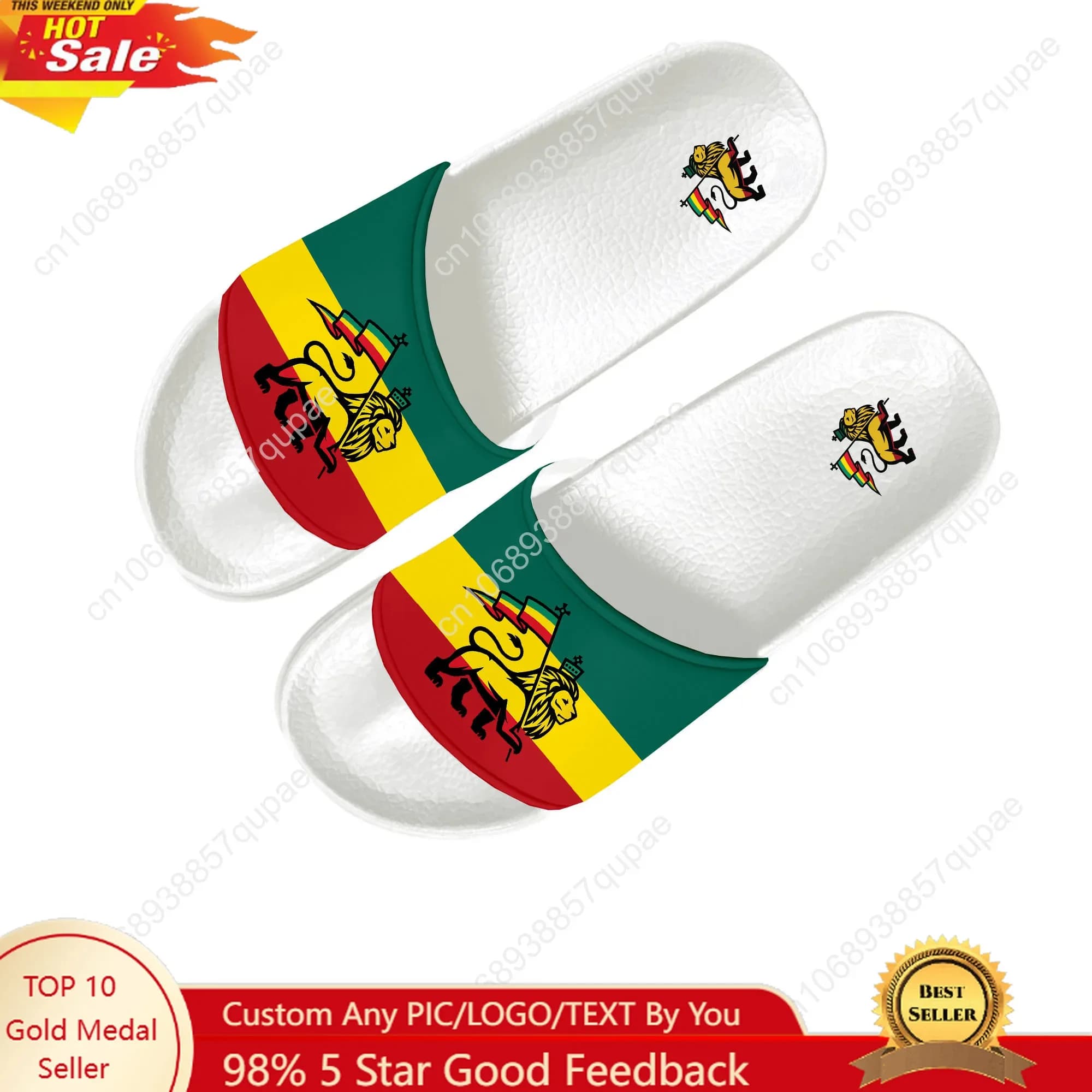 Reggae Rastafarian Lion Of Judah Pantofole Scarpe da acqua per la casa Uomo Donna Adolescenti Sandali da piscina da spiaggia Pantofola estiva su misura