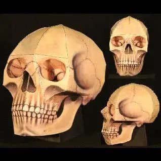 Skull Halloween Horror 3D Paper Model DIY Manual Origami