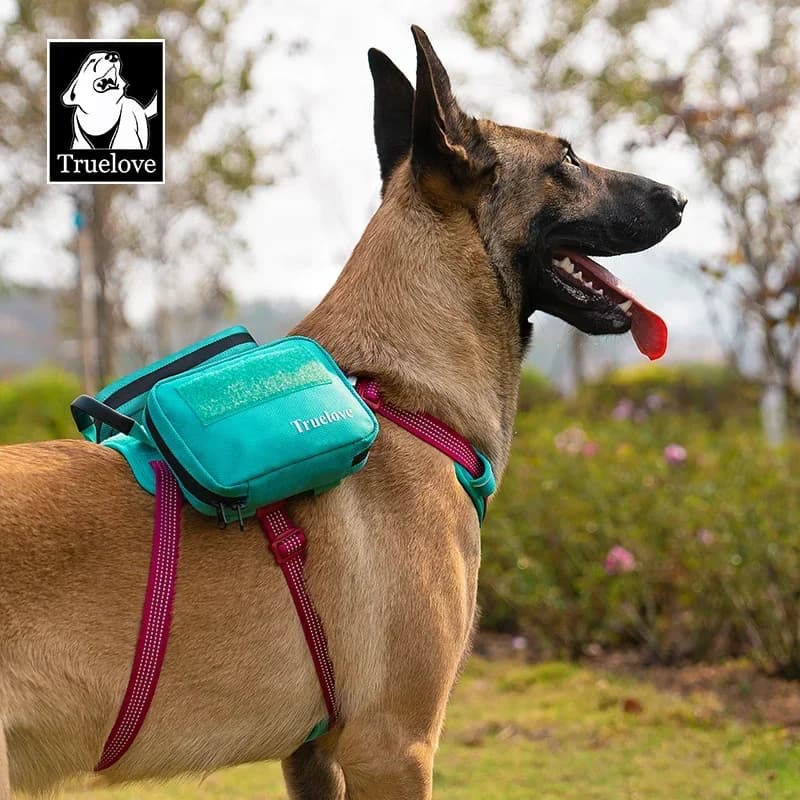 Truelove TLB3011 Waterproof Pet Accessory Pouch, Hook‑and‑Loop Fastener 600D Oxford Fabric, Extra‑Large Capacity for Dog Harness