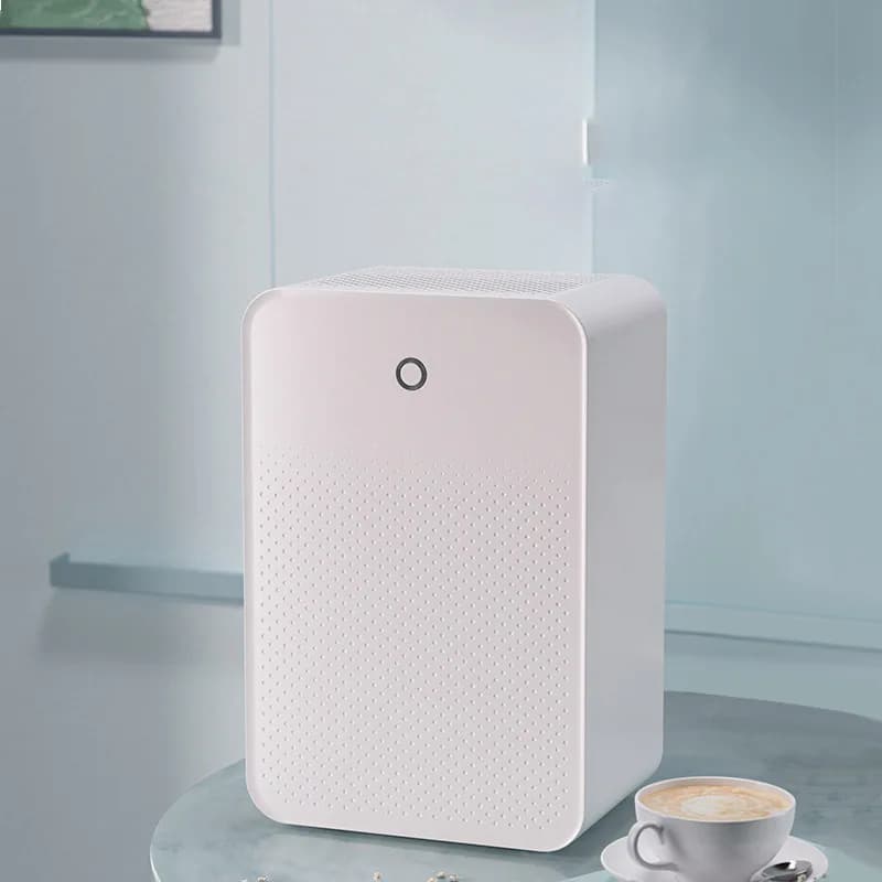 Deumidificatore domestico piccola camera da letto deumidificatore deumidificatore bagno deumidificazione aspirazione deumidificazione stanza