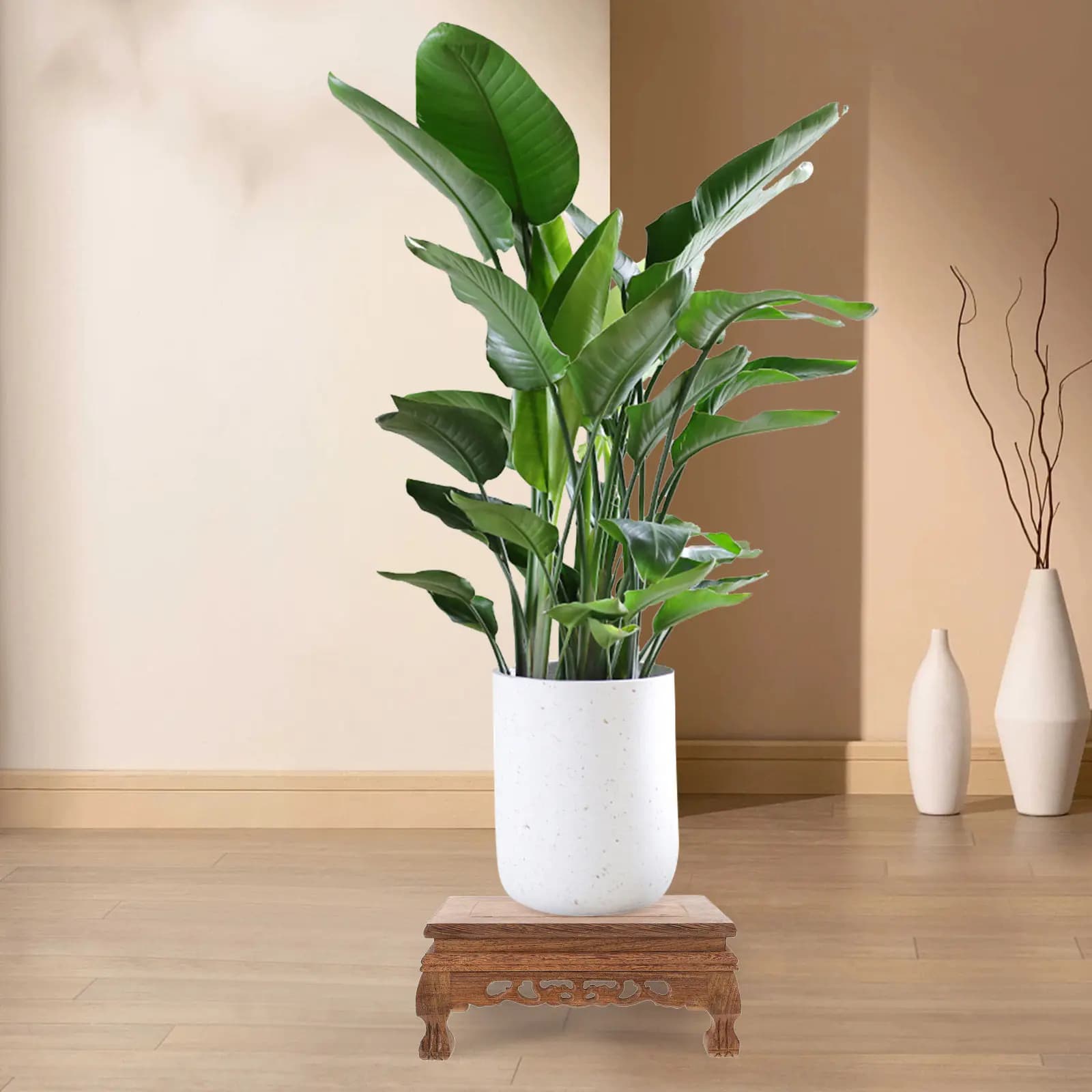Supporto in legno per bonsai a forma di pollo, robusto espositore per piante in vaso, base in legno per vasi, acquari, artigianato e piante da interno