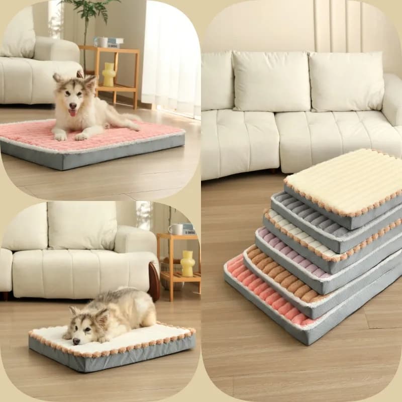 Tappetino per cani da compagnia Spugna memory lavabile ad alto rimbalzo impermeabile staccabile con cerniera Comodo cuscino per animali domestici universale per quattro stagioni